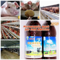 Tiere Bio-Mittel für Futtermittelzusatzstoffe